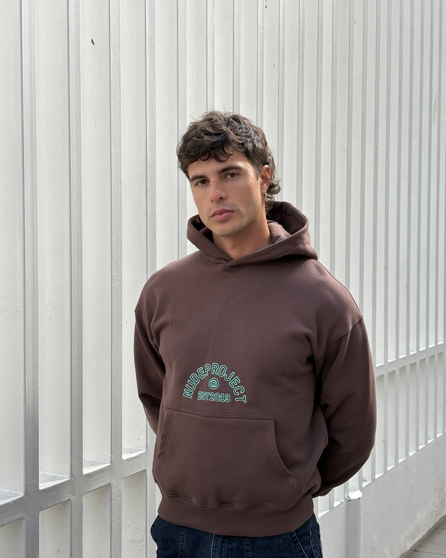 Swans Hoodie Brown