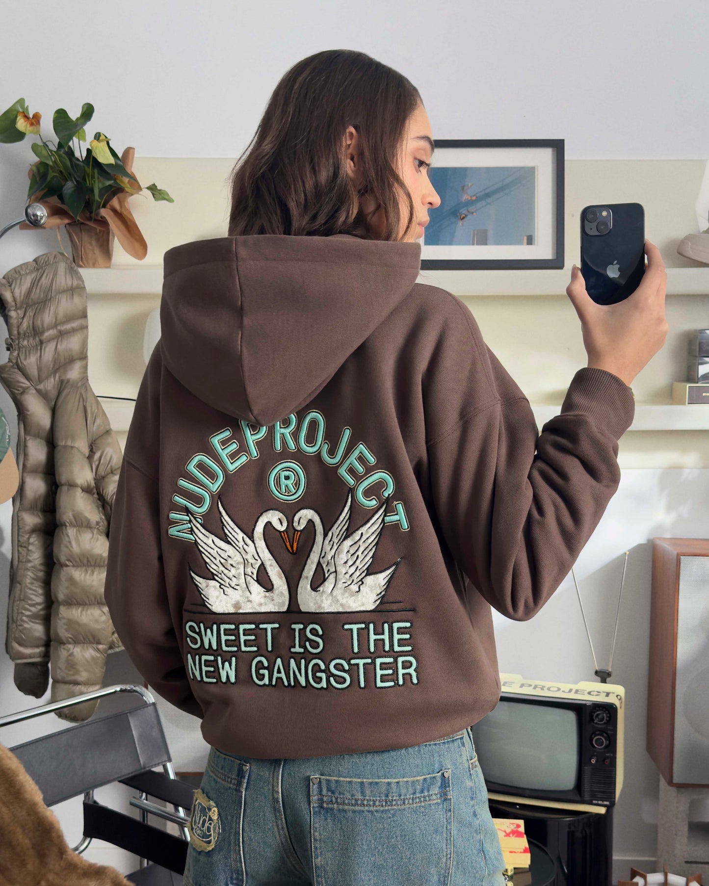 Swans Hoodie Brown